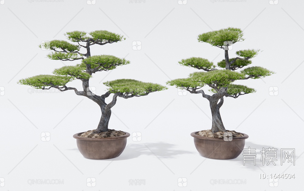 松树盆栽 罗汉松盆景 庭院造景松树3D模型下载【ID:1644504】