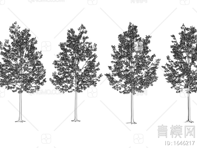 景观树 乔木 行道树 庭院造景树3D模型下载【ID:1646217】