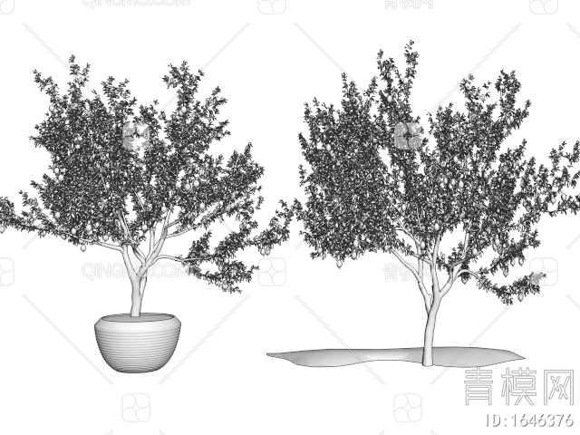 景观树 乔木 植物盆栽 石榴树3D模型下载【ID:1646376】