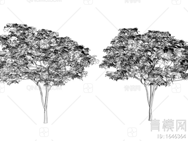 红枫造景树 景观树 庭院专用红枫 乔木3D模型下载【ID:1646364】
