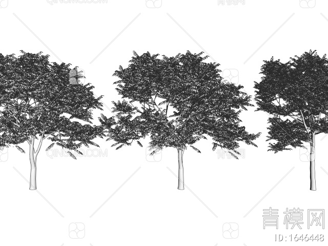 景观树 庭院专用造景树 行道树 庭院树 乔木3D模型下载【ID:1646448】