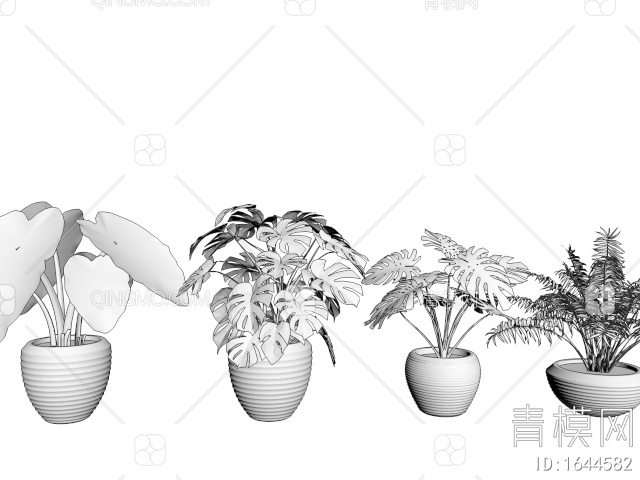 植物盆栽 热带绿植 龟背叶3D模型下载【ID:1644582】