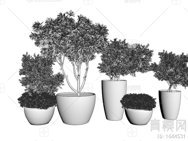 植物盆栽 灌木 绿植3D模型下载【ID:1644531】