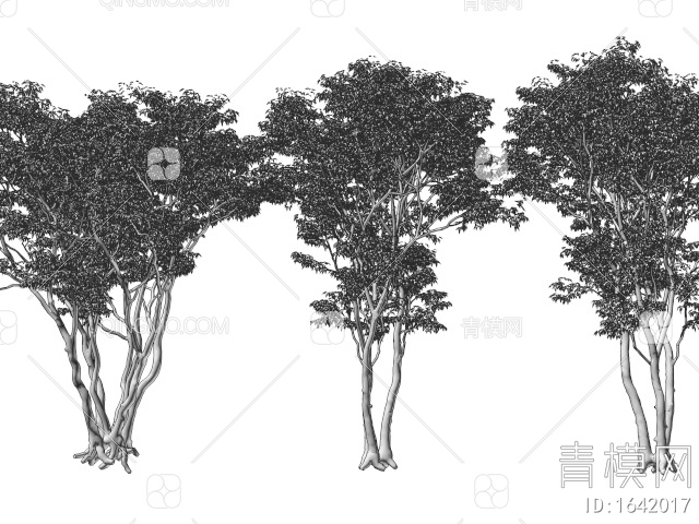 景观树 乔木 鸡爪槭 枫树 行道树 园林树3D模型下载【ID:1642017】