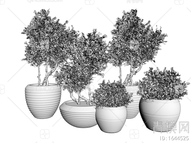 植物盆栽 灌木 室外景观绿植 花盆3D模型下载【ID:1644525】