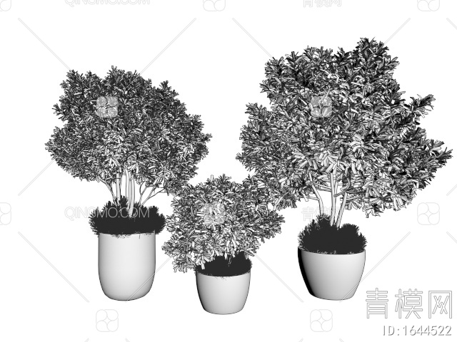 植物盆栽 乔木3D模型下载【ID:1644522】