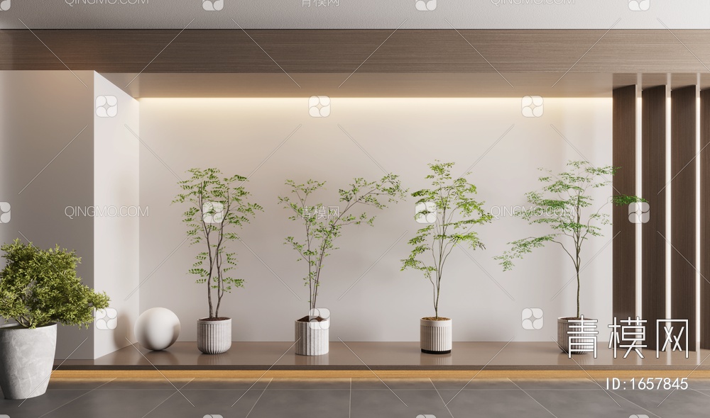 盆栽植物3D模型下载【ID:1657845】