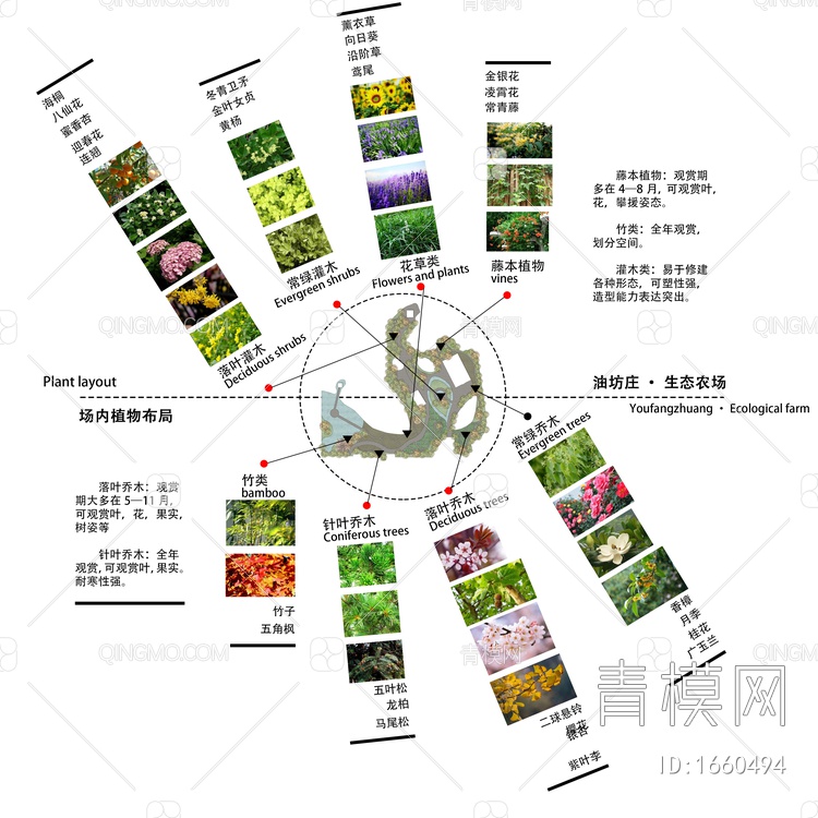 景观植物分析图免抠PSDpsd下载【ID:1660494】
