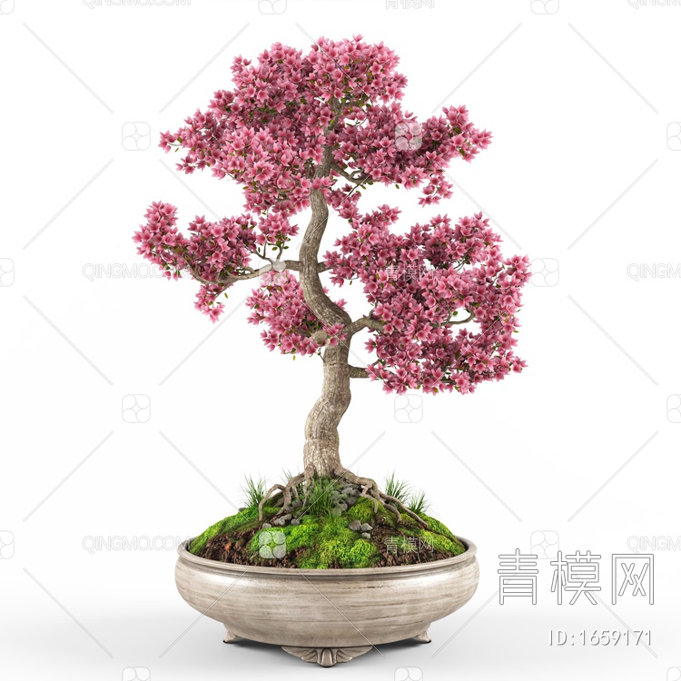 植物盆栽3D模型下载【ID:1659171】