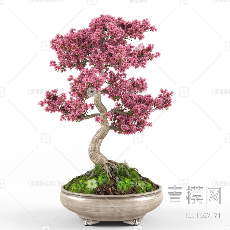 植物盆栽3D模型下载【ID:1659171】