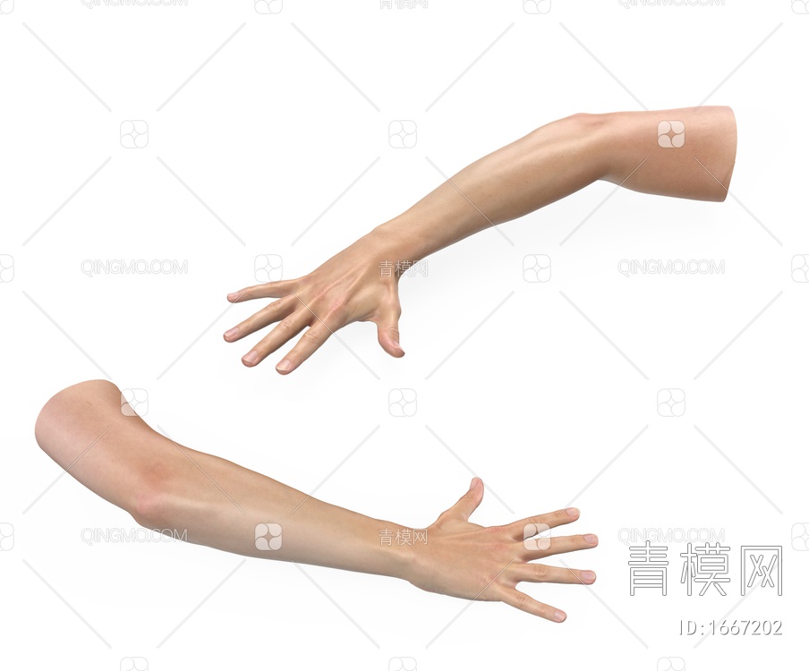 生活艺术摆件 手臂3D模型下载【ID:1667202】