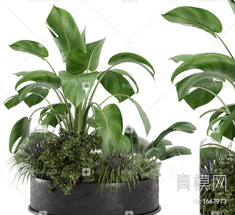 户外植物3D模型下载【ID:1667973】
