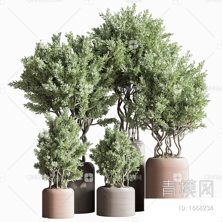 盆栽 植物 绿植3D模型下载【ID:1668234】