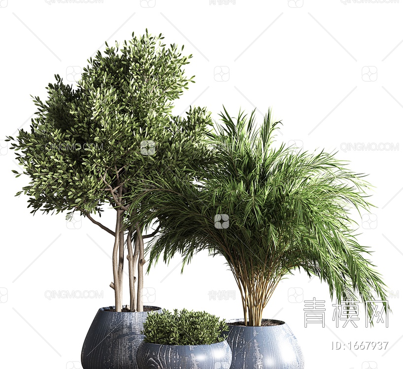 室内植物 盆栽3D模型下载【ID:1667937】
