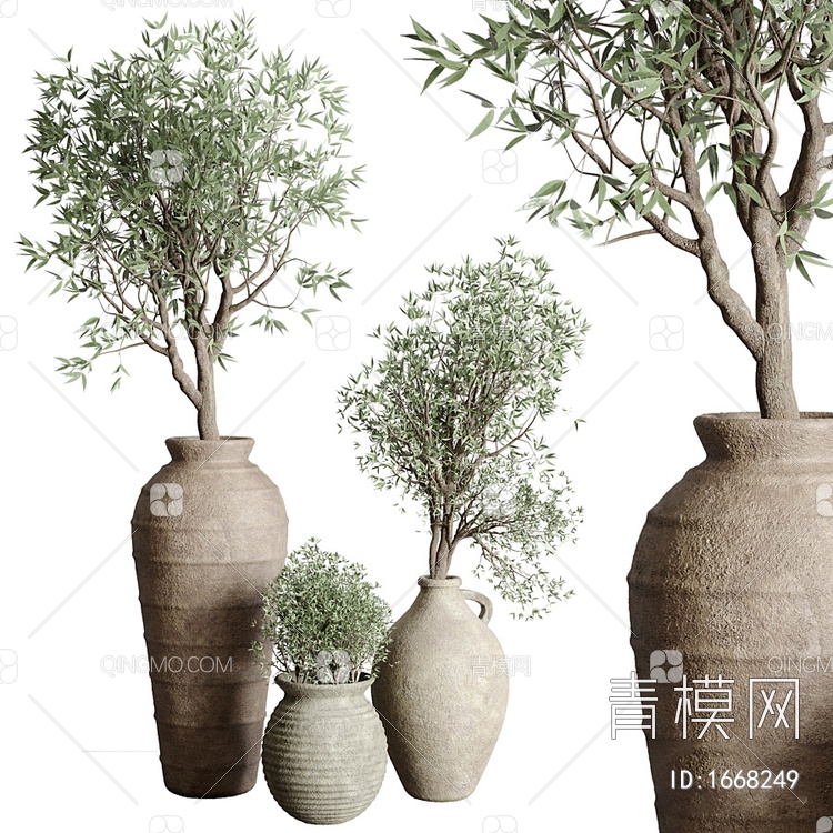 盆栽 植物 绿植3D模型下载【ID:1668249】