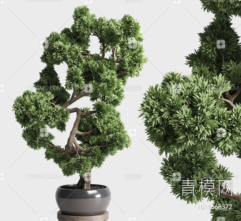植物 盆树 盆景3D模型下载【ID:1668372】