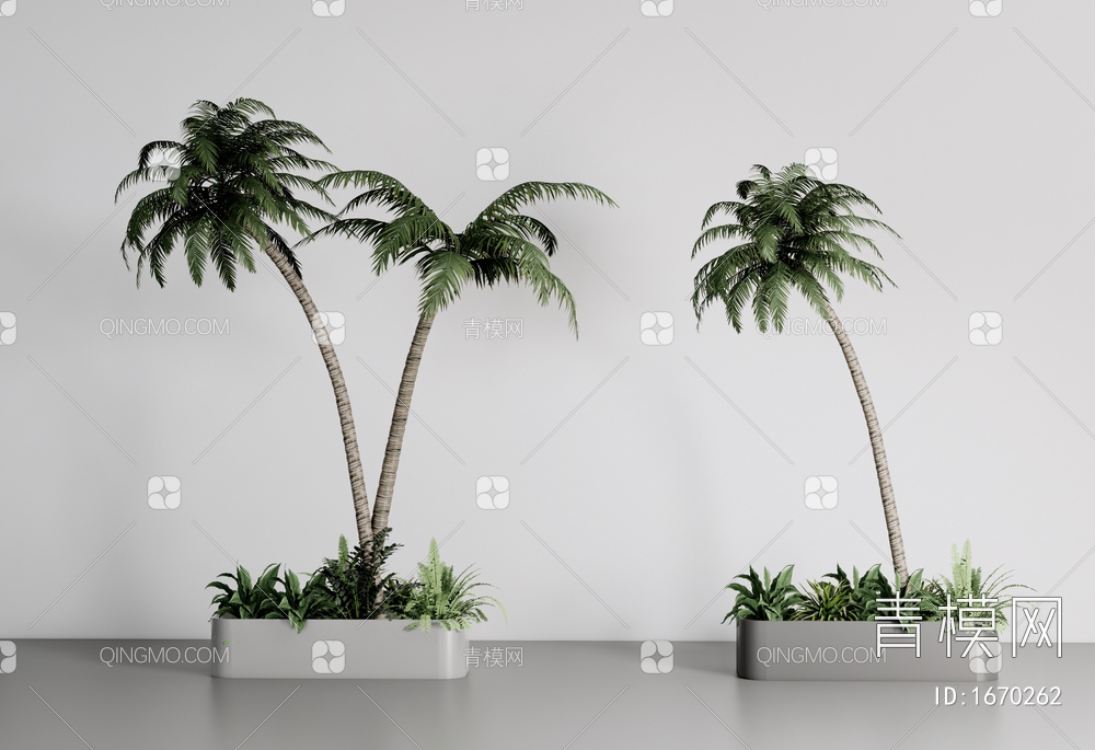 热带椰子树 棕榈树 热带植物  树池组合SU模型下载【ID:1670262】