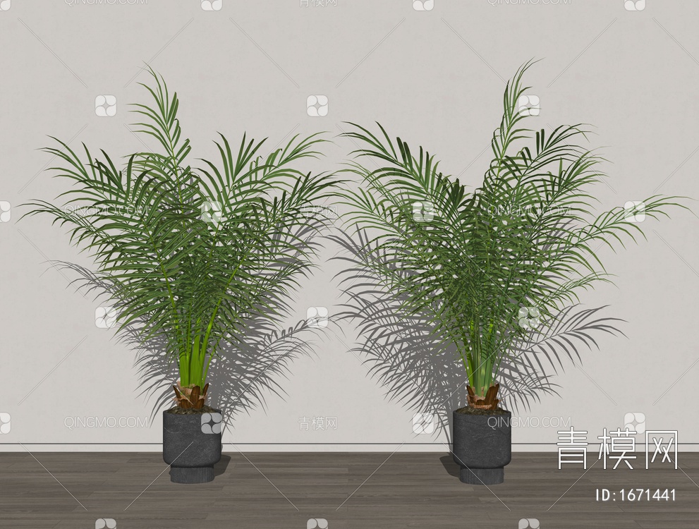 植物盆栽 景观植物 散尾葵 绿植SU模型下载【ID:1671441】