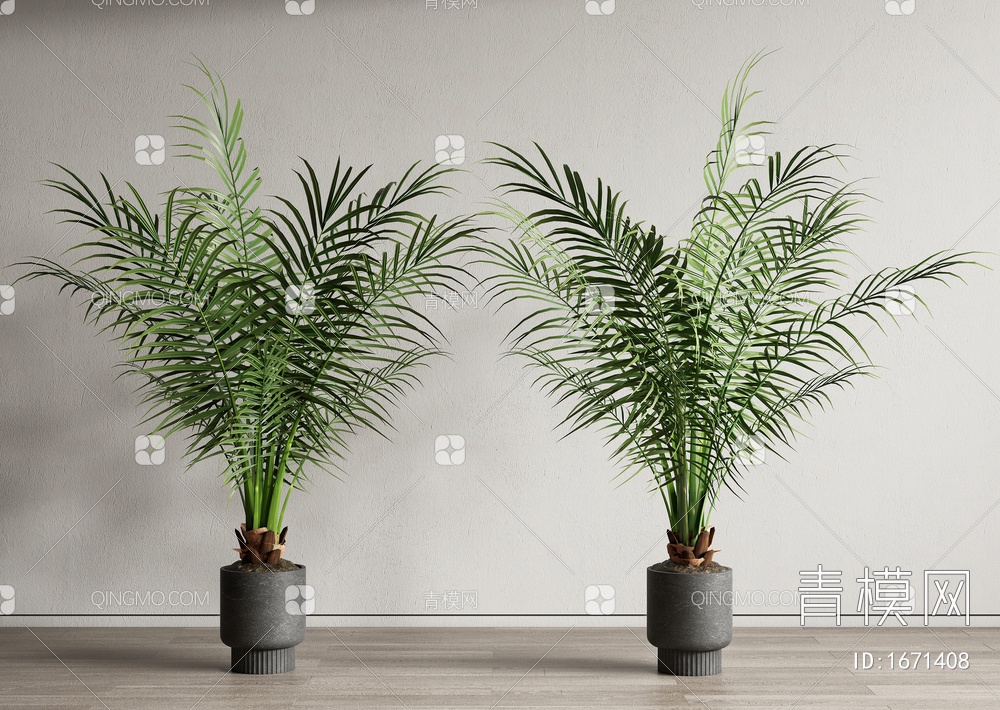 植物盆栽 景观植物 散尾葵 绿植3D模型下载【ID:1671408】