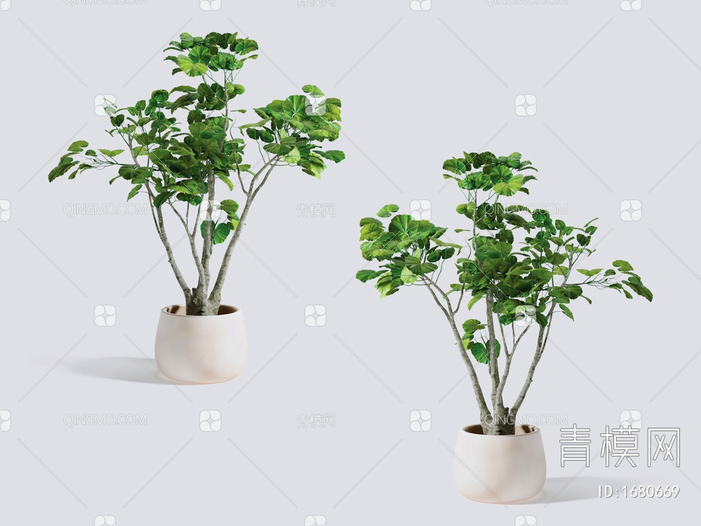 盆栽3D模型下载【ID:1680669】