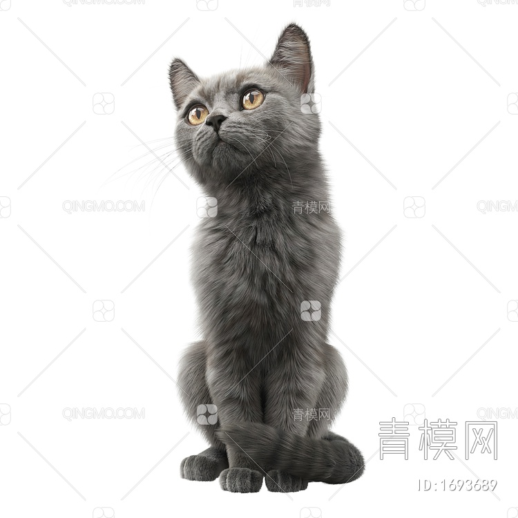 灰色宠物猫，两种造型含两个max文件3D模型下载【ID:1693689】