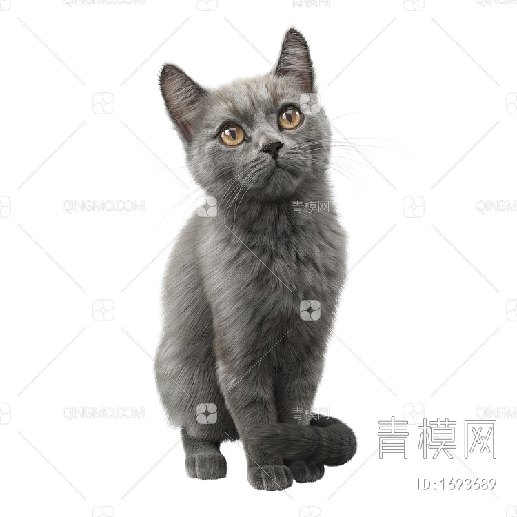 灰色宠物猫，两种造型含两个max文件3D模型下载【ID:1693689】
