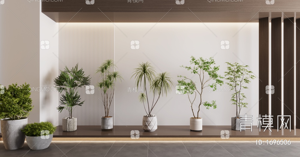 植物盆栽，植物，盆栽，树3D模型下载【ID:1696506】
