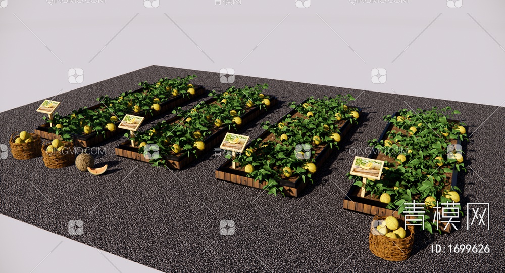 哈密瓜 甜瓜 瓜蔓植物 蔬菜植物 庭院植物 一米果园 瓜果种植SU模型下载【ID:1699626】