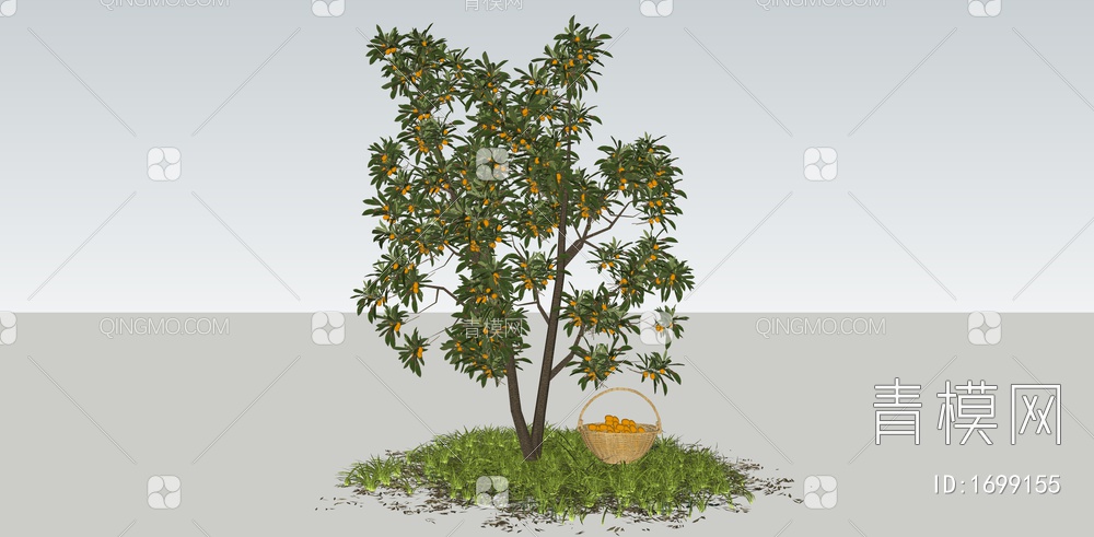 枇杷树 果树 枇杷 植物景观 庭院景观树 乔木SU模型下载【ID:1699155】
