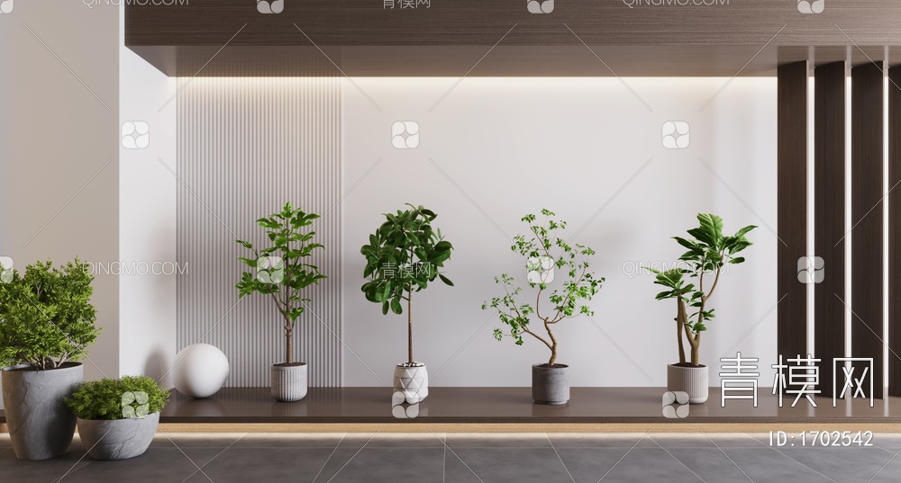 盆栽植物3D模型下载【ID:1702542】