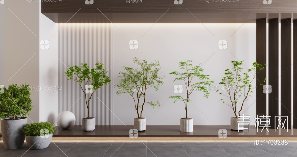植物盆栽，植物，盆栽，树3D模型下载【ID:1703238】