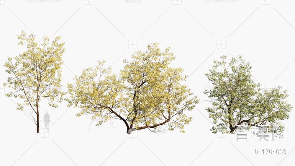 fremontii绿植 树3D模型下载【ID:1704033】