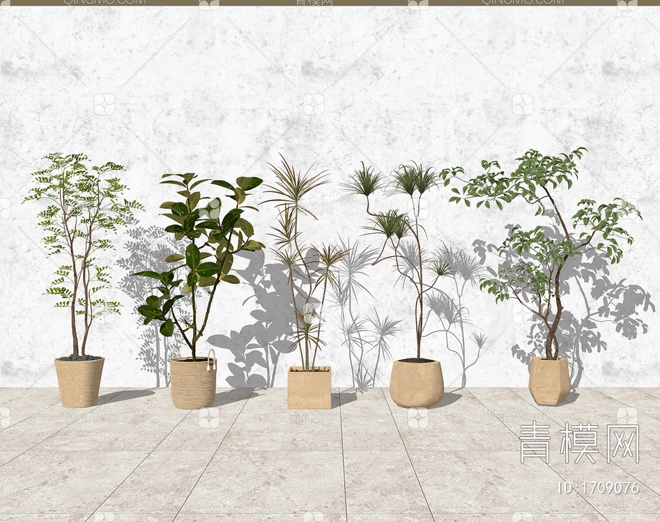 室内景观绿植盆栽  植物造景 植物组合SU模型下载【ID:1709076】
