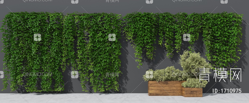 爬墙植物 爬山虎 墙面植物3D模型下载【ID:1710975】