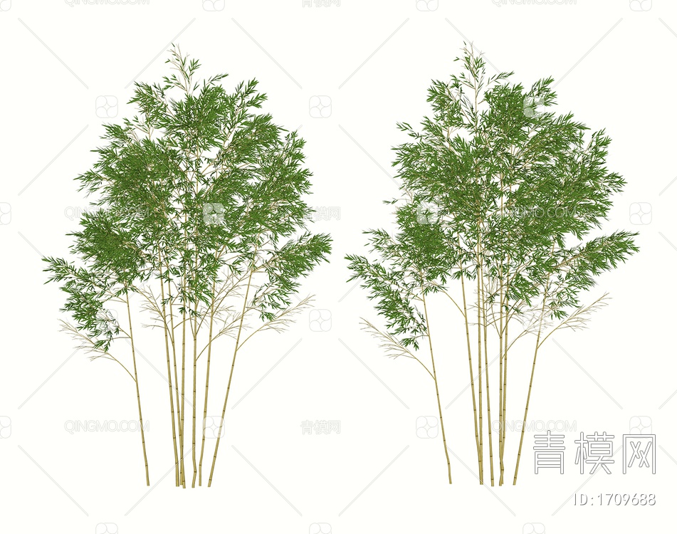 庭院竹子  灌木植物SU模型下载【ID:1709688】