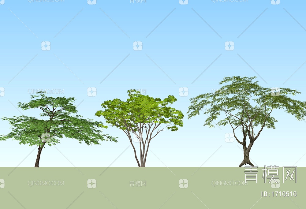 景观造型树 乔木绿植  行道树SU模型下载【ID:1710510】