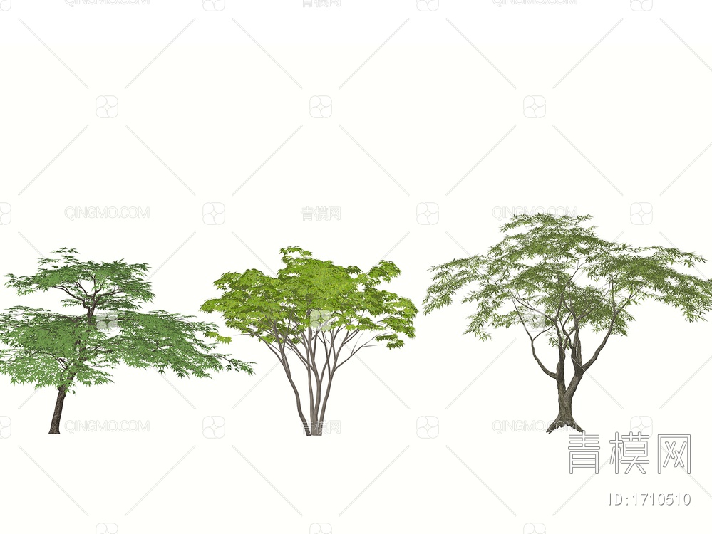 景观造型树 乔木绿植  行道树SU模型下载【ID:1710510】