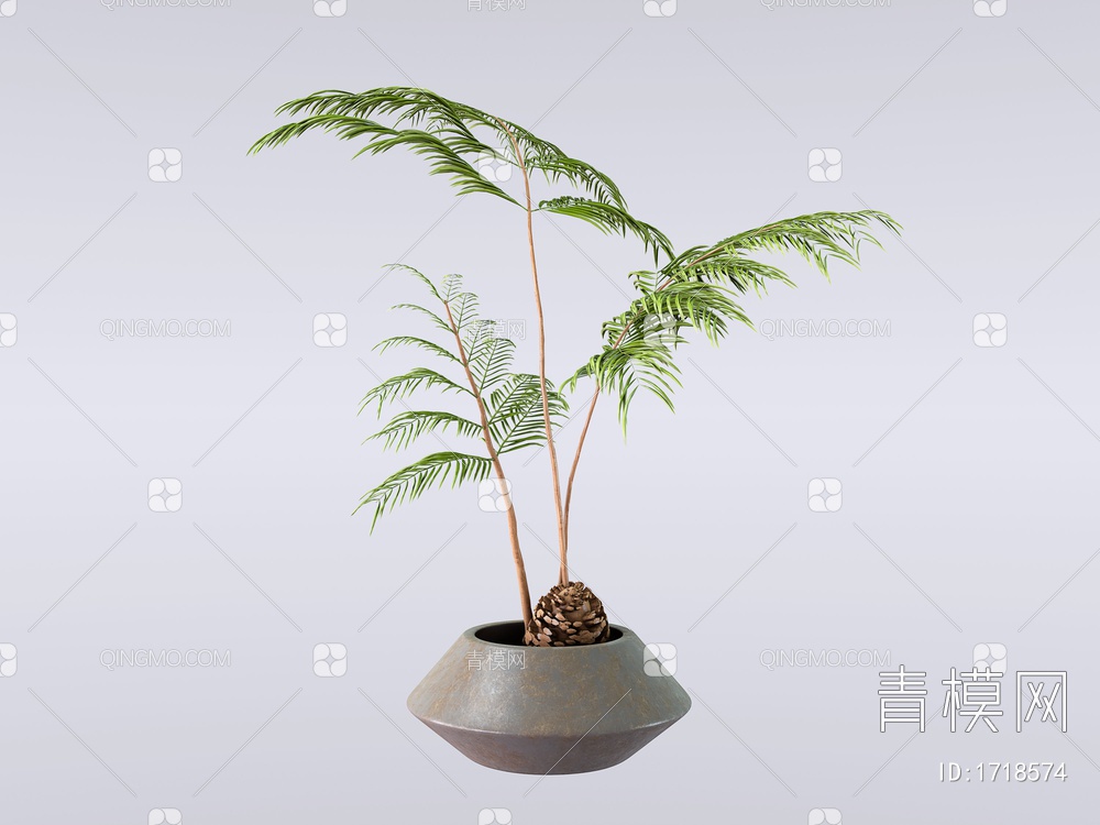 盆栽盆景3D模型下载【ID:1718574】