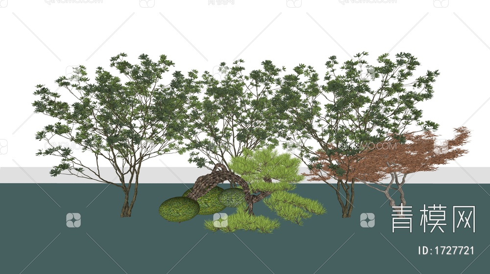景观植物 罗汉松 景观树SU模型下载【ID:1727721】
