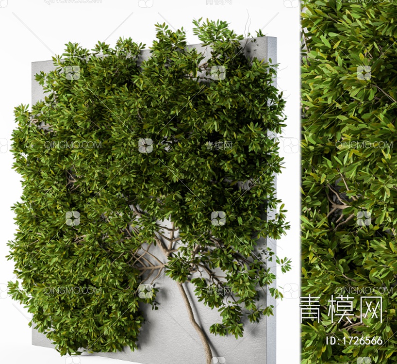 常春藤壁生植物3D模型下载【ID:1726566】