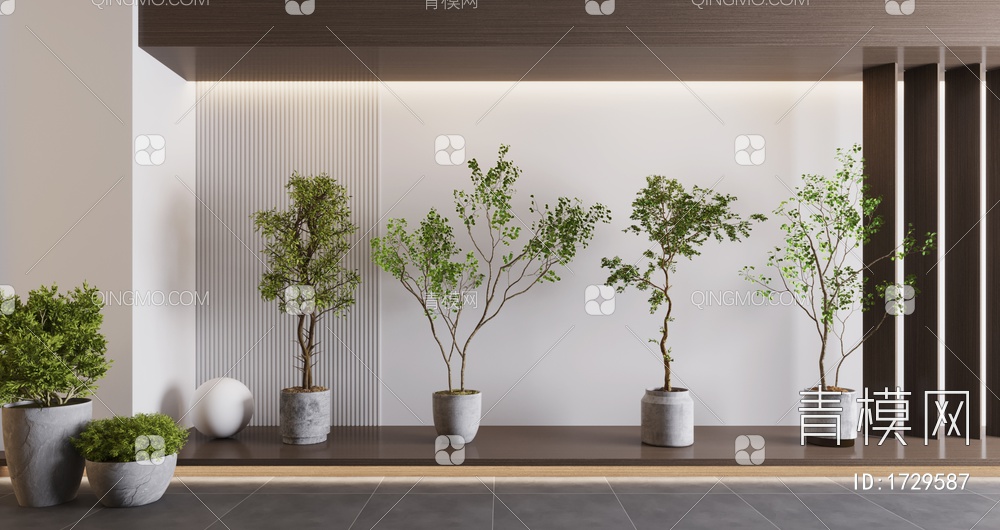 植物盆栽，植物，盆栽，树3D模型下载【ID:1729587】