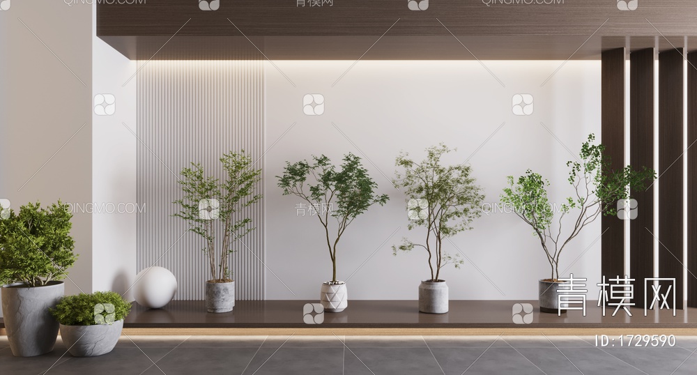 植物盆栽，植物，盆栽，树3D模型下载【ID:1729590】