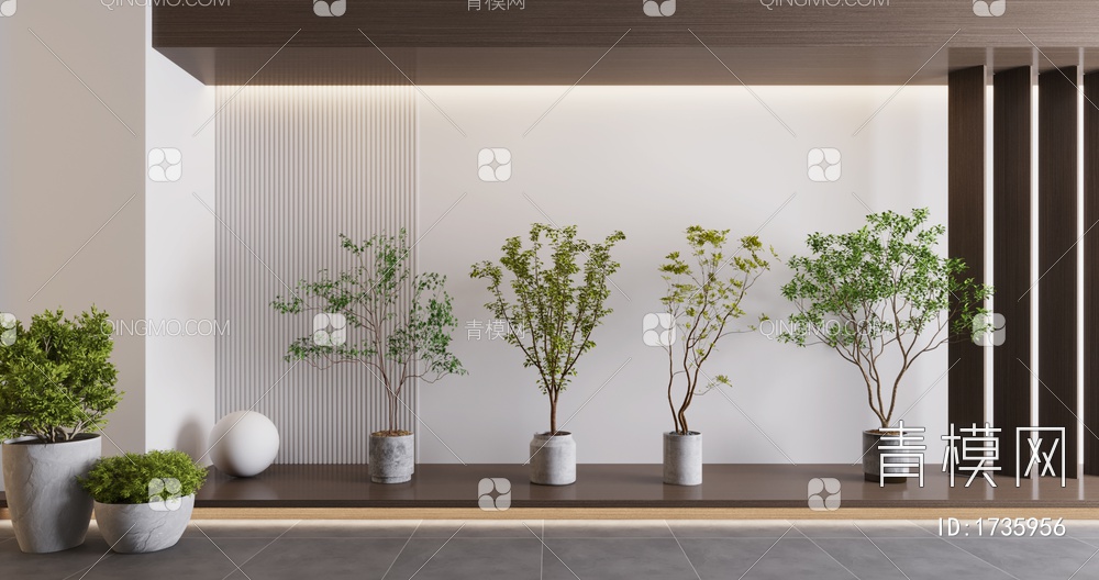 植物盆栽 植物 盆栽 树3D模型下载【ID:1735956】