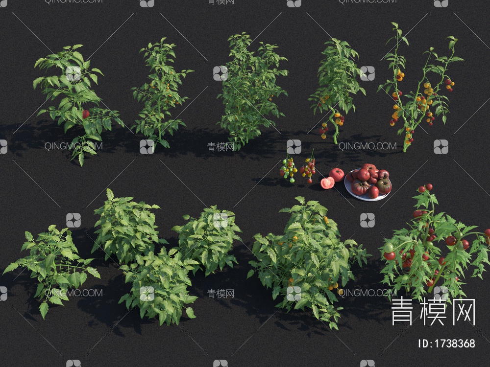 西红柿 圣女果3D模型下载【ID:1738368】