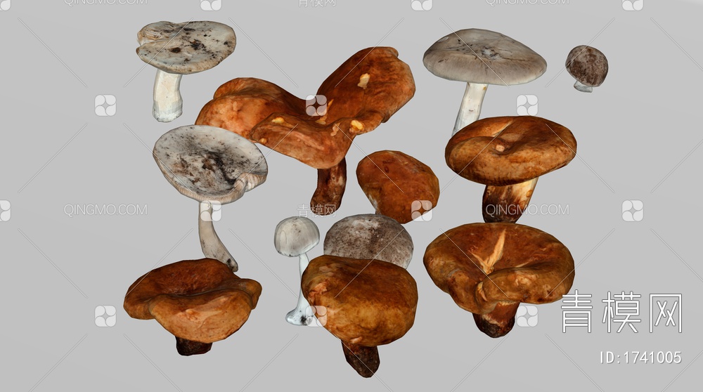 蘑菇 香菇SU模型下载【ID:1741005】