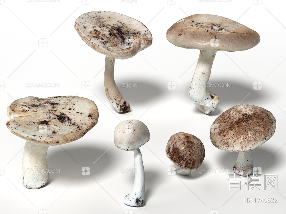 蘑菇 香菇3D模型下载【ID:1740822】