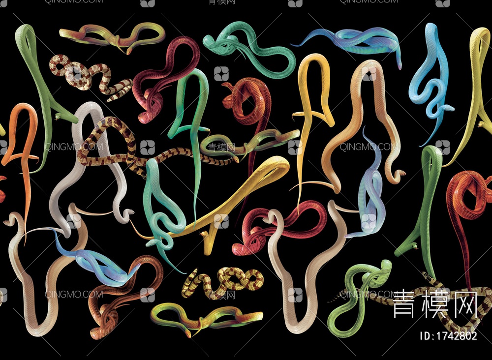 彩色蛇形壁纸贴图下载【ID:1742802】