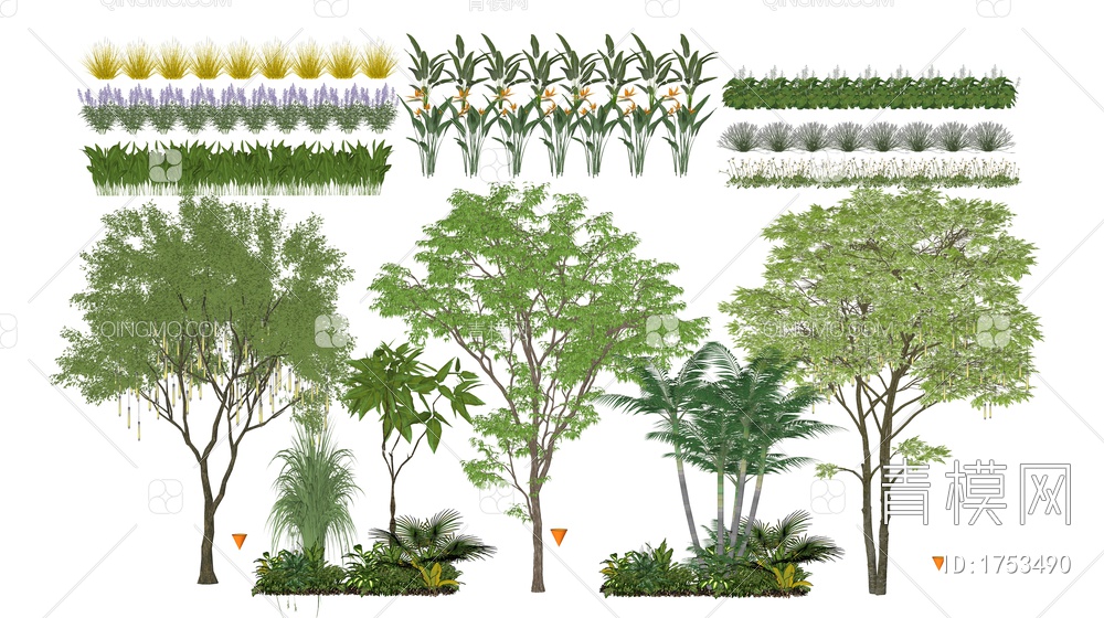 景观植物SU模型下载【ID:1753490】