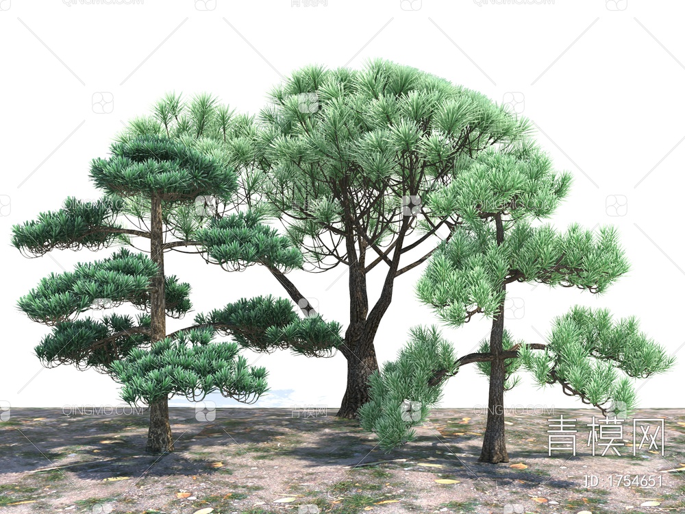 松树3D模型下载【ID:1754651】