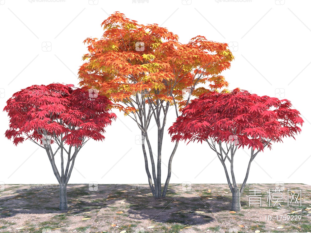 红枫树3D模型下载【ID:1759229】